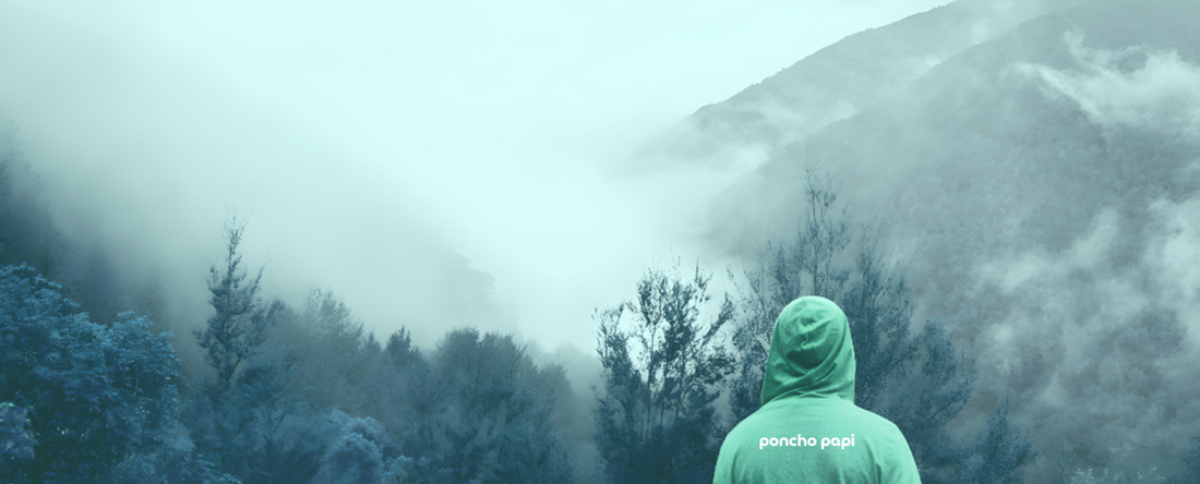 Person wearing poncho papi rain gear stands amidst nature. 