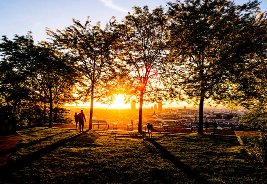 Experience the magic of a morning walk in the park at sunrise. Enhancing focus and concentration. A perfect start to the day.